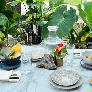 Fortessa 8" Dinner Plates set of six